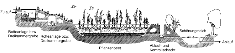 Pflanzenkläranlage