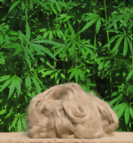 img_9989-kalfaterband-medium.gif img_9989-kalfaterband-medium.gif